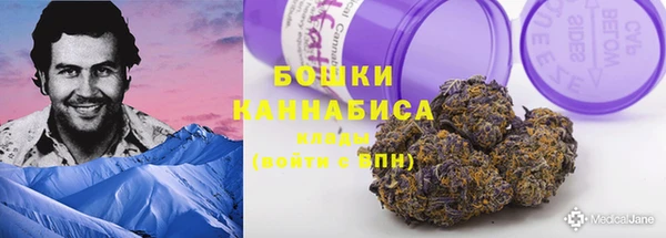 PSILOCYBIN Белокуриха